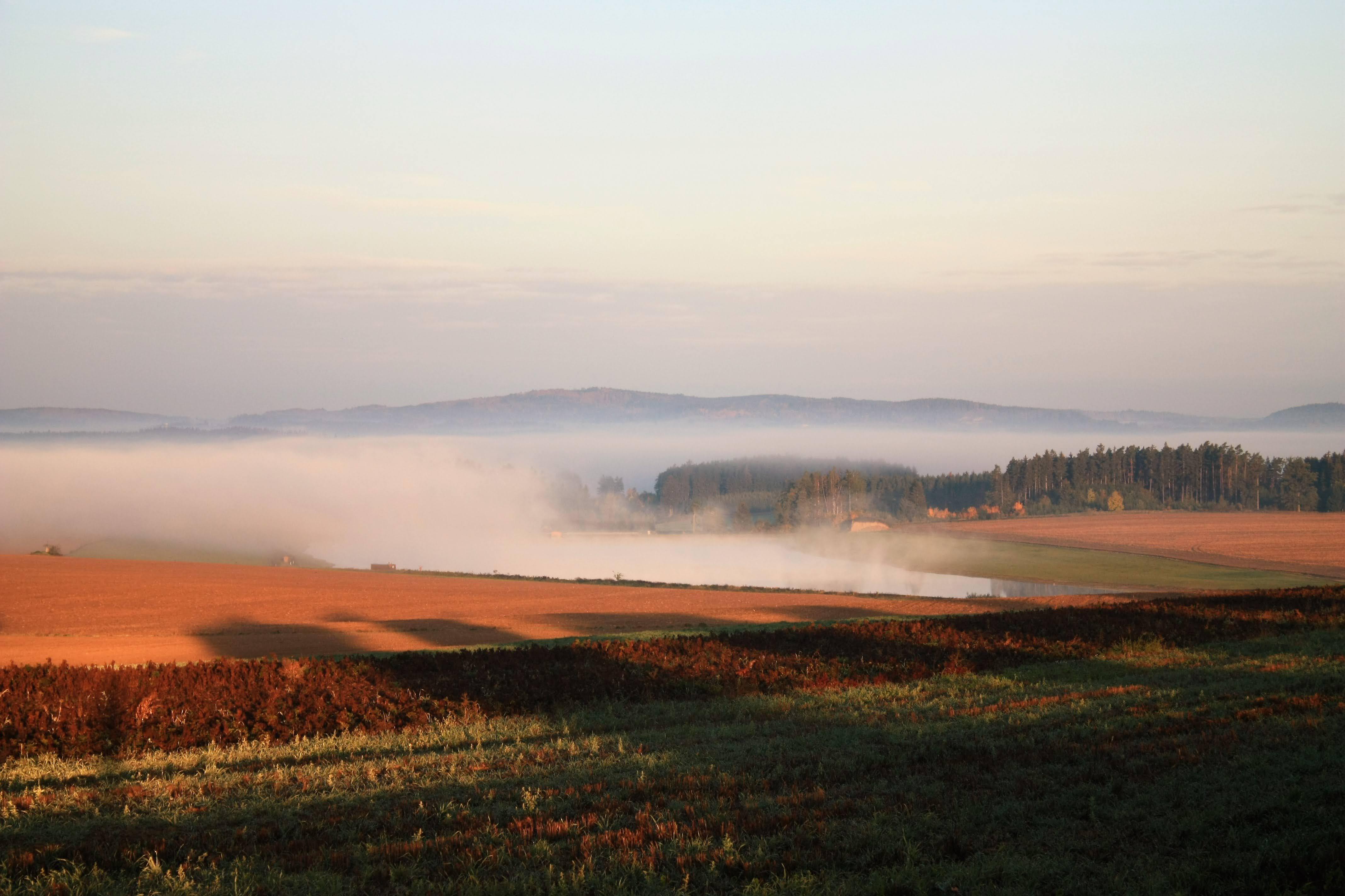 Obrázek - IMG 8863